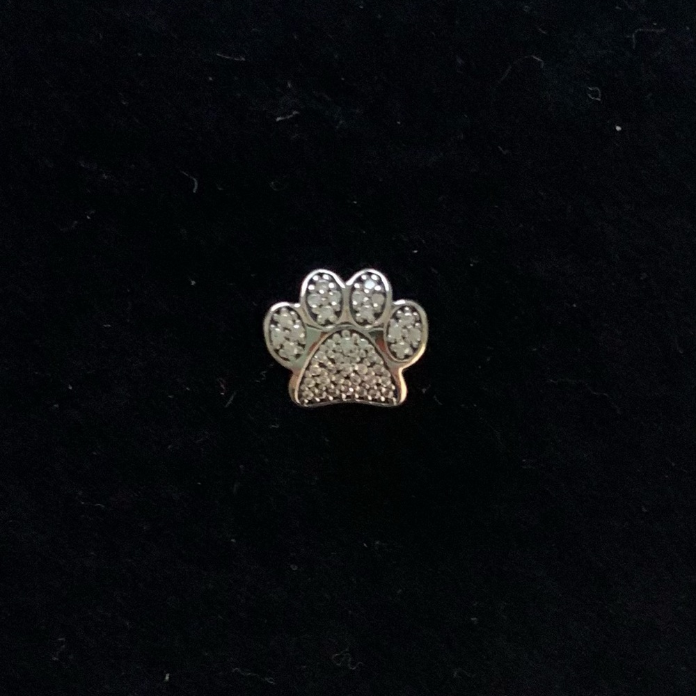 Pandora Paw Print Charm